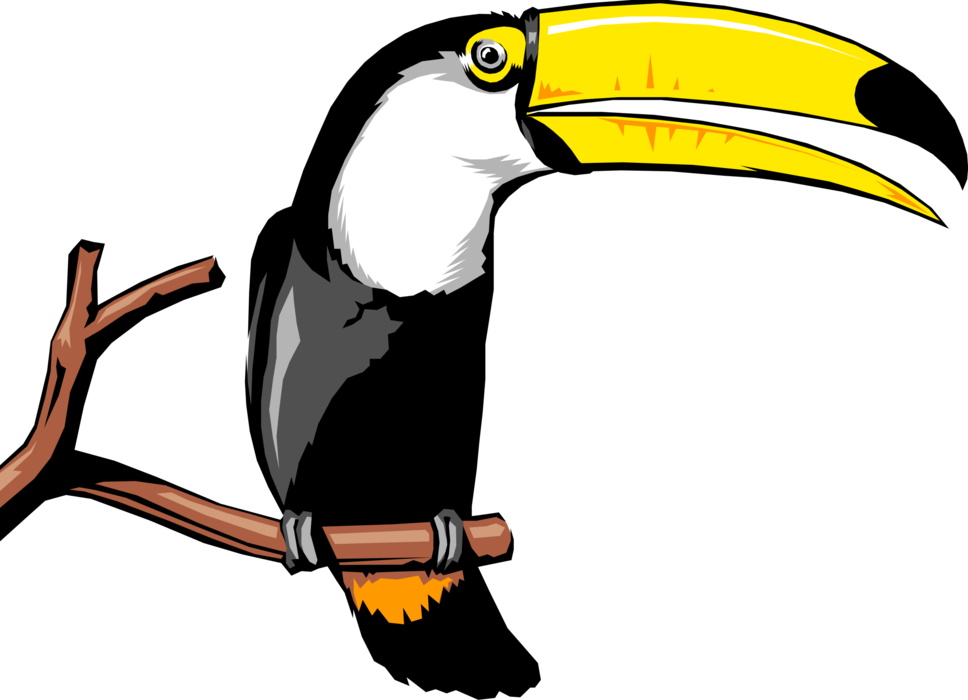 Vector Illustration of Colorful Large-Bill Toucan Bird