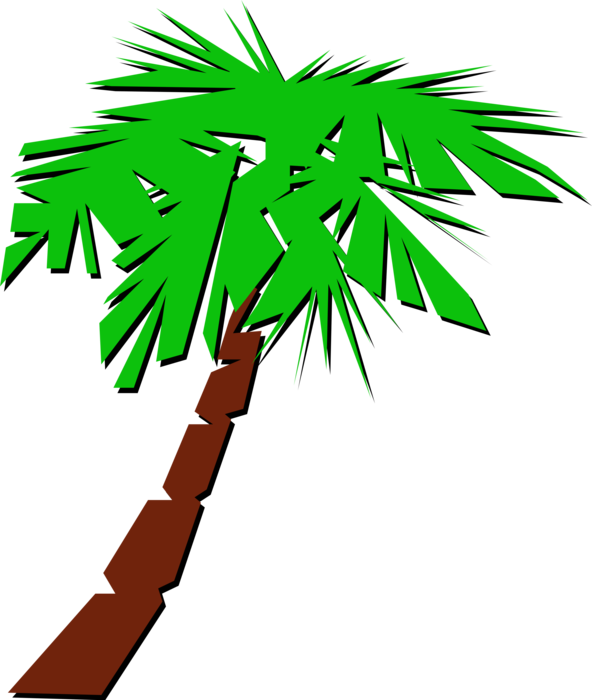 Vector Illustration of Arecaceae Palm Tree Symbol
