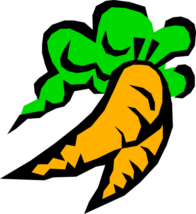 Vector Illustration of Garden Root Vegetable Carrot Contains Carotenoids for Vision and Eye Health