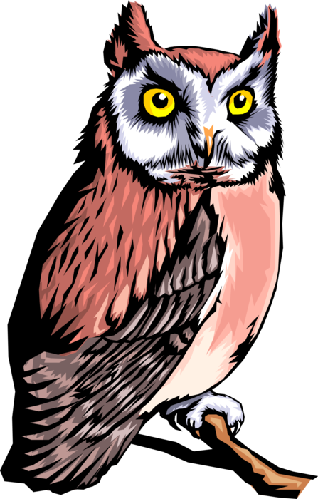 Vector Illustration of Wise Owl Bird Symbol of Wisdom and Knowledge Stares Determinedly