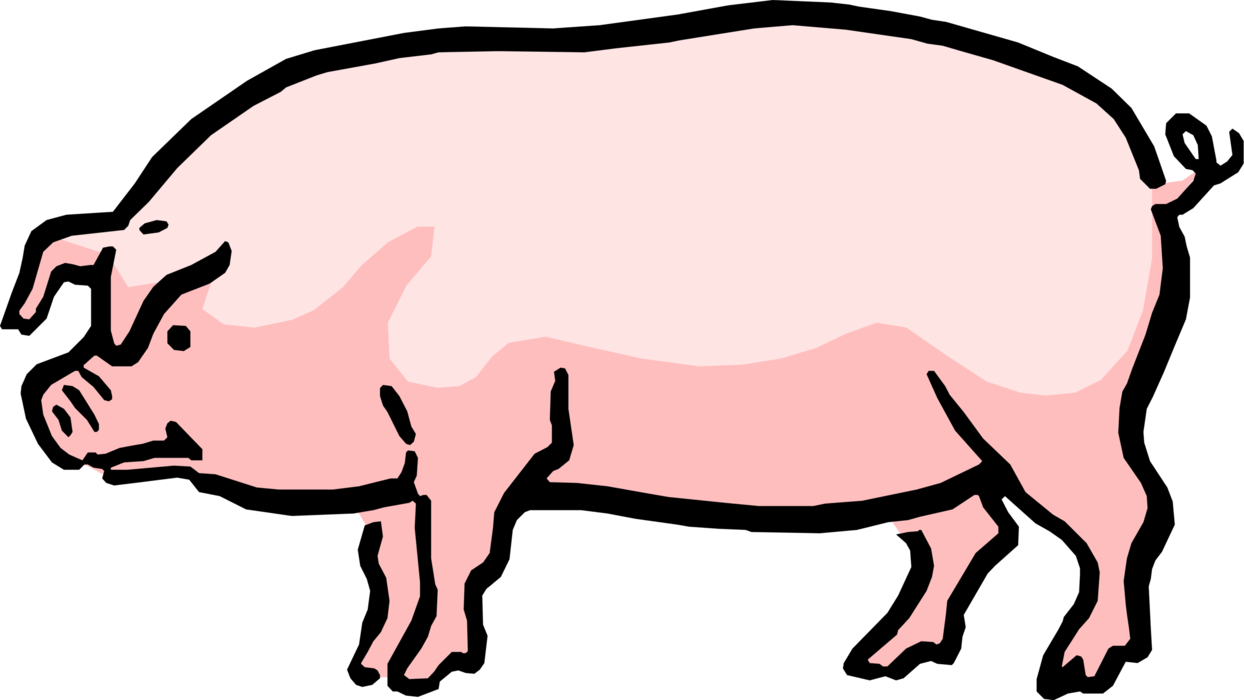 Vector Illustration of Cartoon Farm Agriculture Livestock Omnivore Domestic Pig Swine