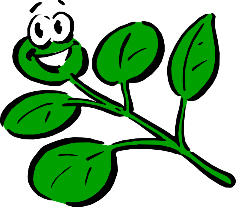 Vector Illustration of Anthropomorphic Herb Leaves