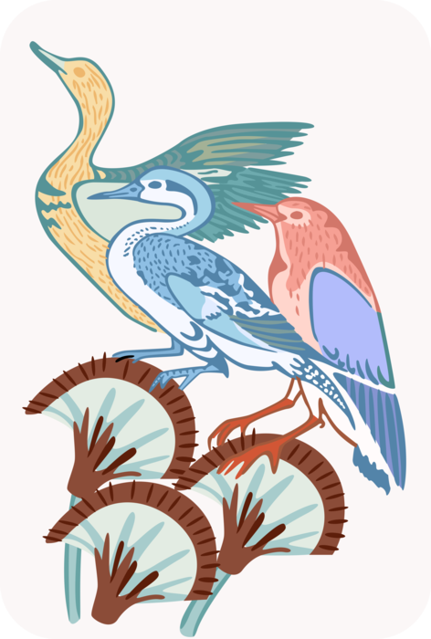 Vector Illustration of Feathered Birds