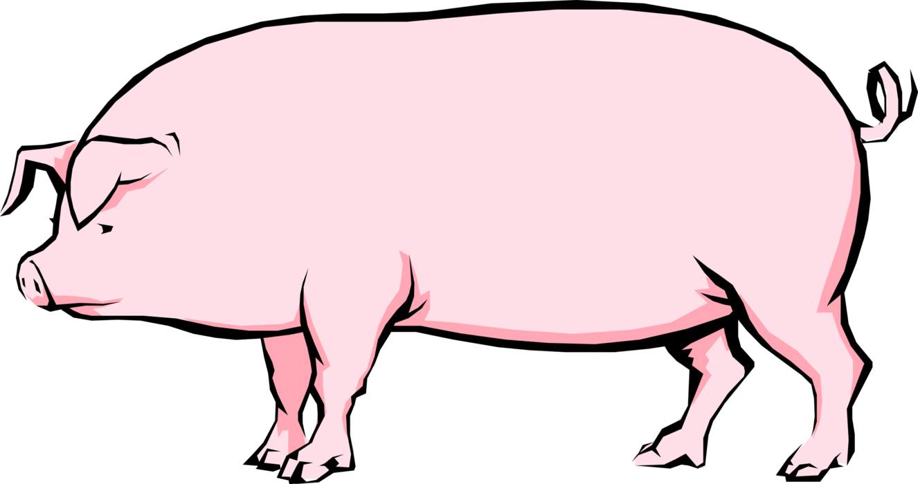 Vector Illustration of Farm Agriculture Livestock Omnivore Domestic Swine Pig