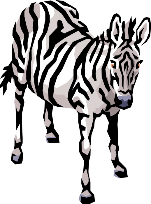 Vector Illustration of Striped African Zebra Horse