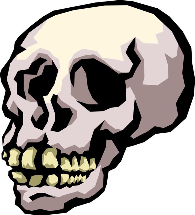 Vector Illustration of Human Skull Head