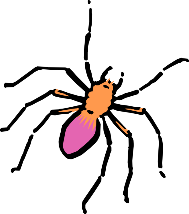 Vector Illustration of Cartoon Arachnid Spider