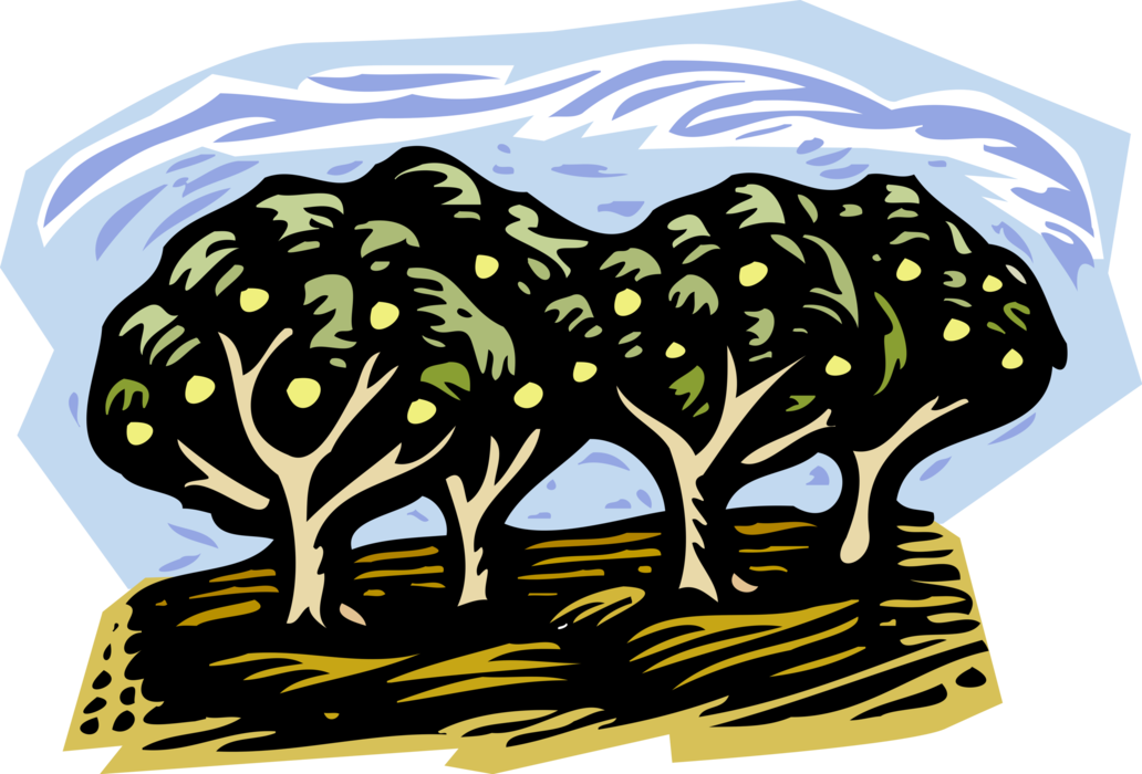 Vector Illustration of Farm Orchard Fruit Trees