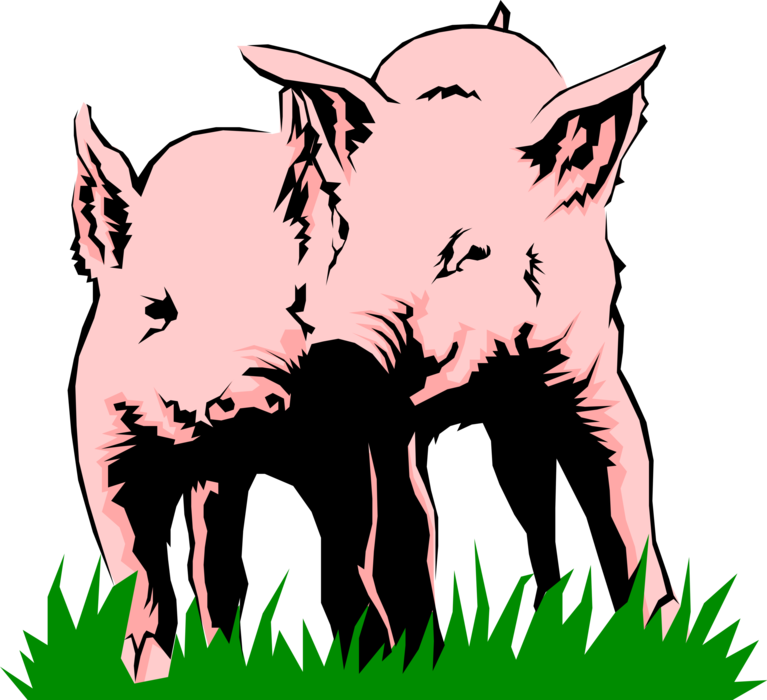 Vector Illustration of Farm Agriculture Livestock Omnivore Domestic Swine Pig Piglets