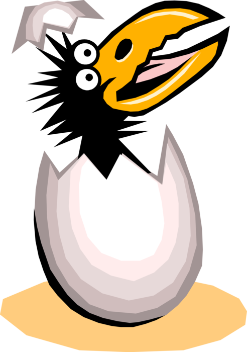 Vector Illustration of Crow Bird Hatches from Egg