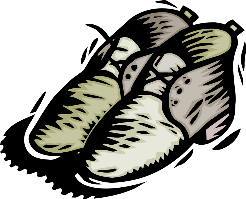 Vector Illustration of Footwear Shoes