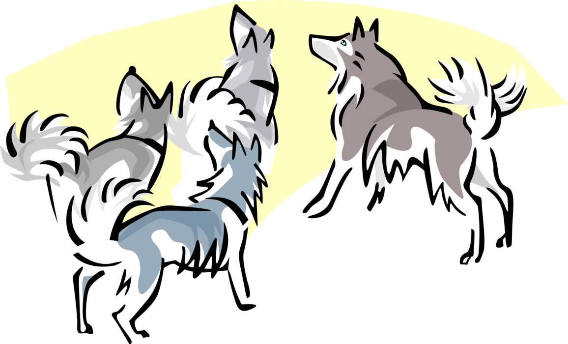 Vector Illustration of Timber Wolves Howling at Moon