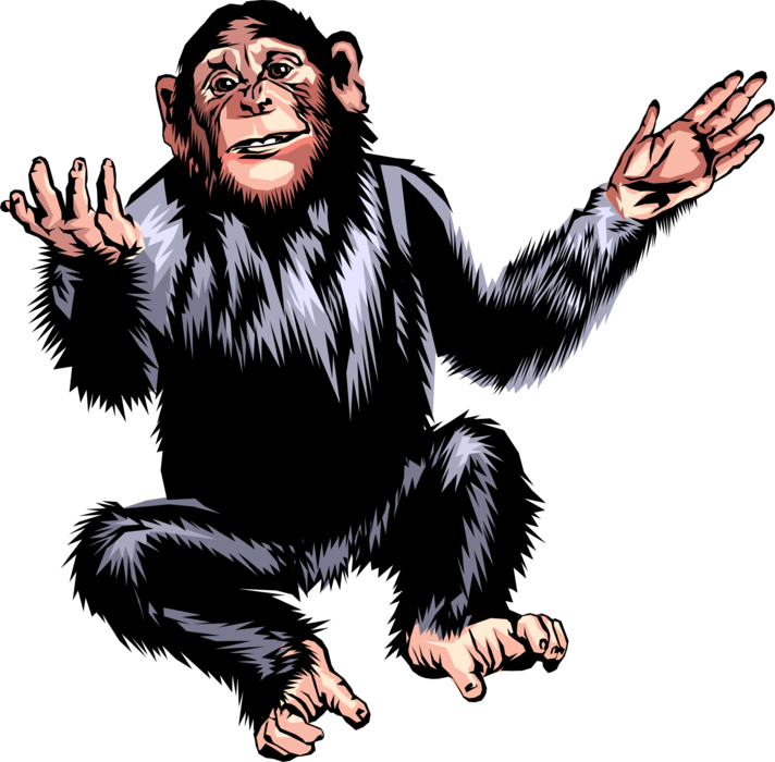 Vector Illustration of Chimpanzee Monkey Primate Jumps Up and Down