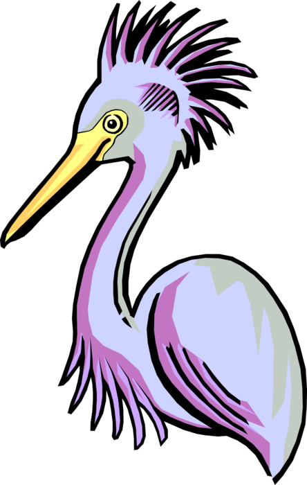 Vector Illustration of Great Blue Heron Crane Bird