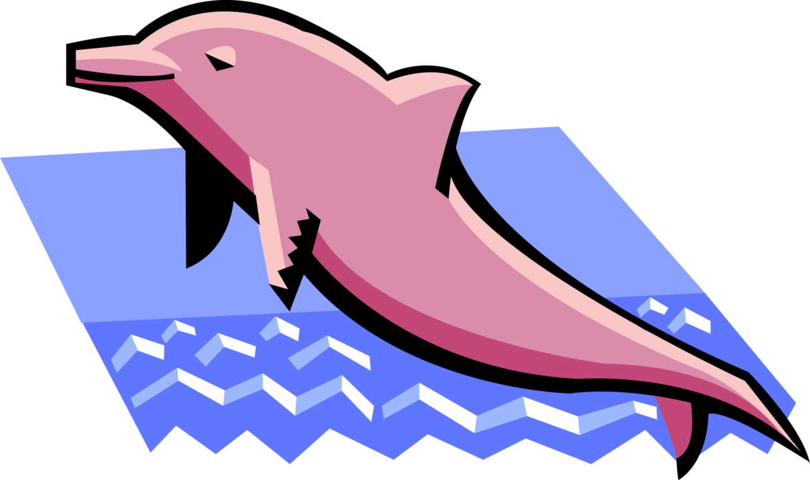 Vector Illustration of Aquatic Marine Mammal Cetacean Dolphin