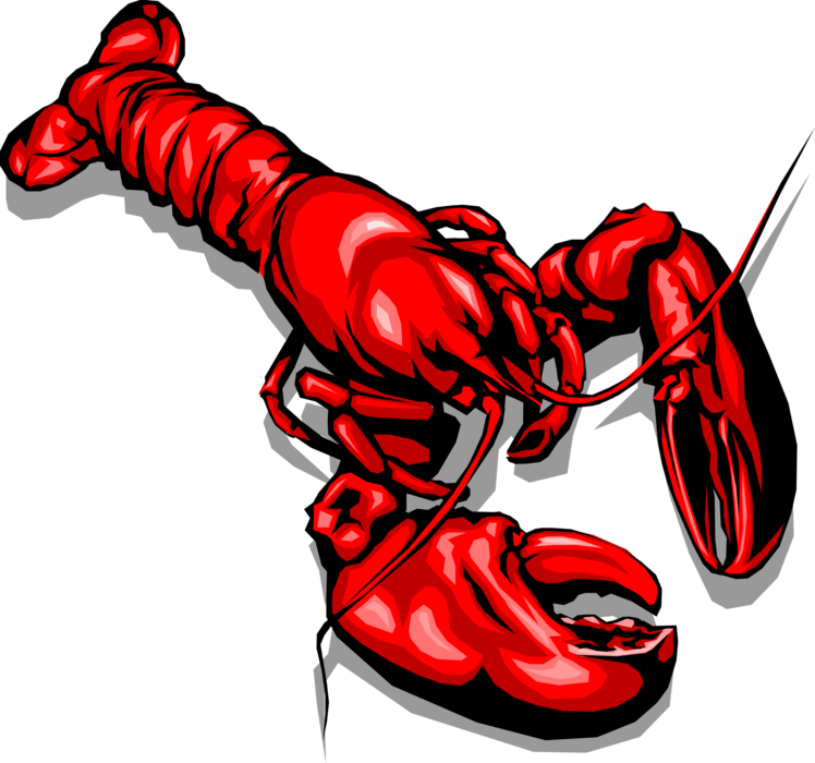 Vector Illustration of Clawed Lobster Shellfish Marine Crustacean Seafood