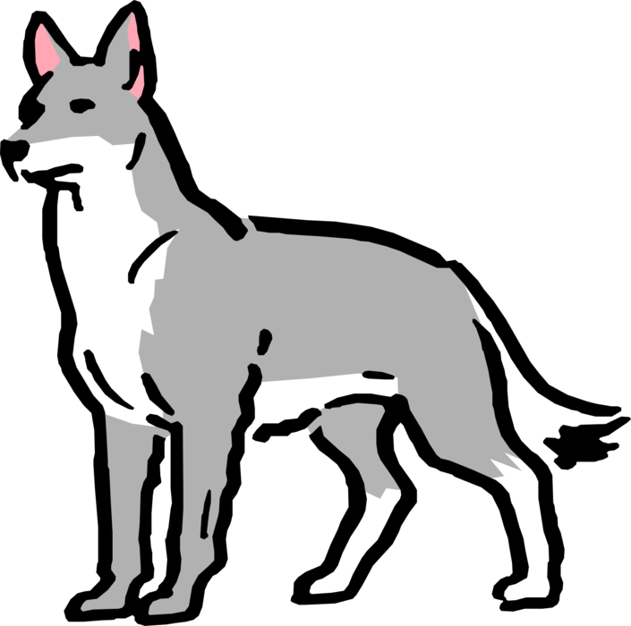 Vector Illustration of Cartoon Timber Wolf