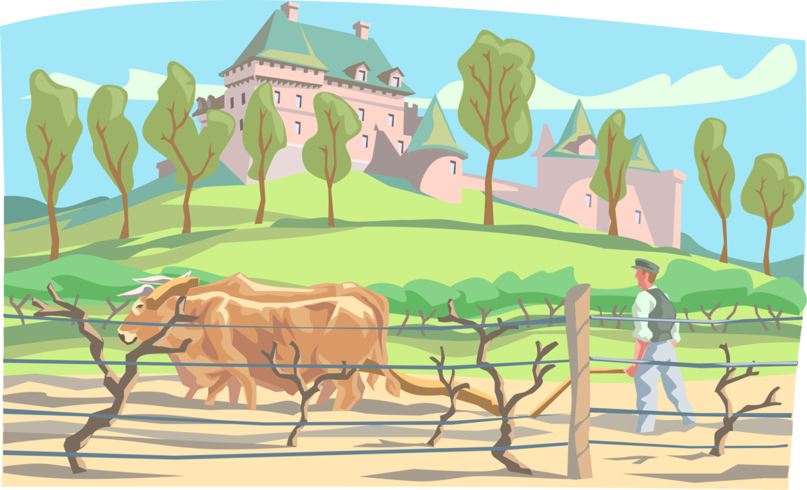 Vector Illustration of Oxen Plowing the Fields with Vineyard Vines and European Castle