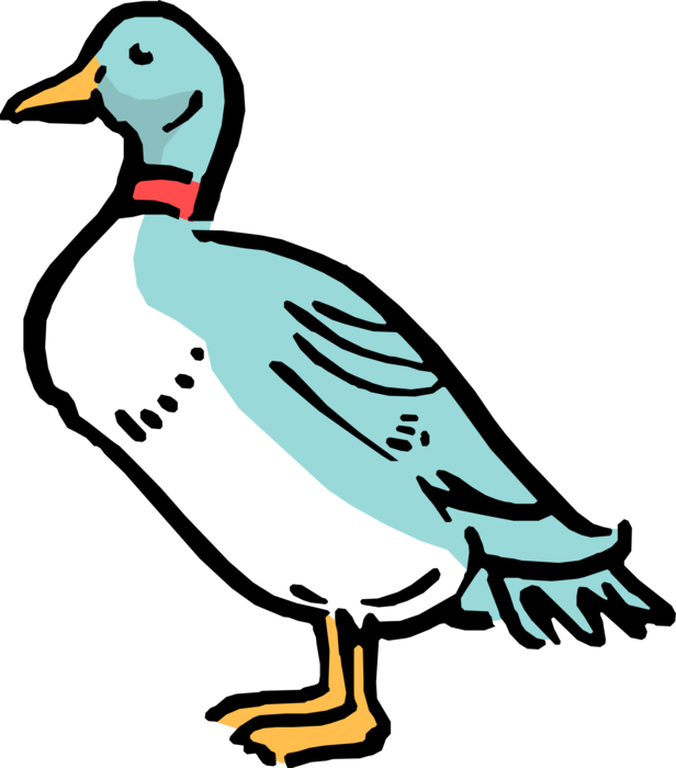 Vector Illustration of Cartoon Duck Standing