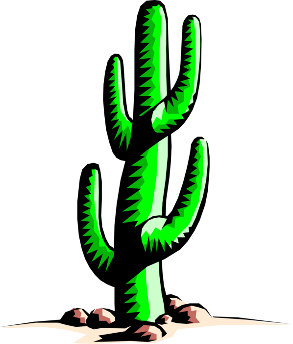 Vector Illustration of Desert Vegetation Succulent Cactus