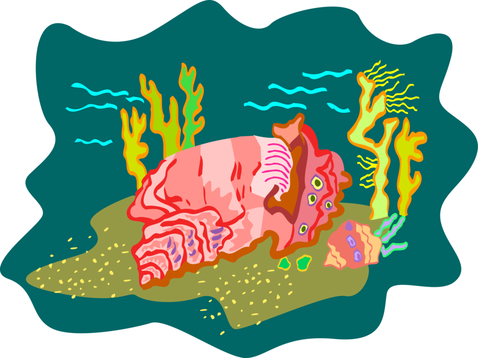 Vector Illustration of Colorful Underwater Marine Life Reef with Seashells