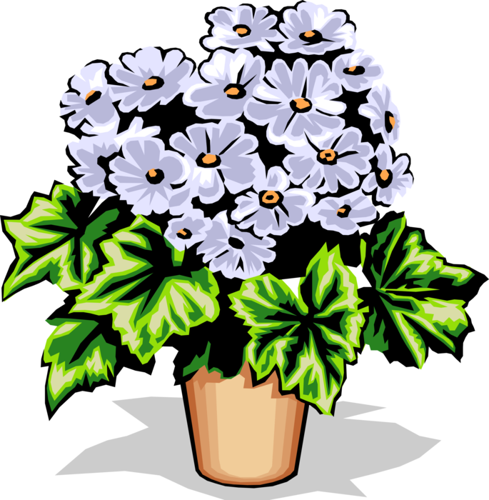Vector Illustration of Potted Flowering Houseplant 
