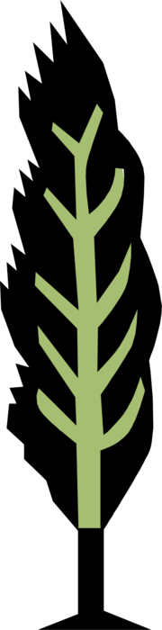 Vector Illustration of Cedar Coniferous Tree Symbol