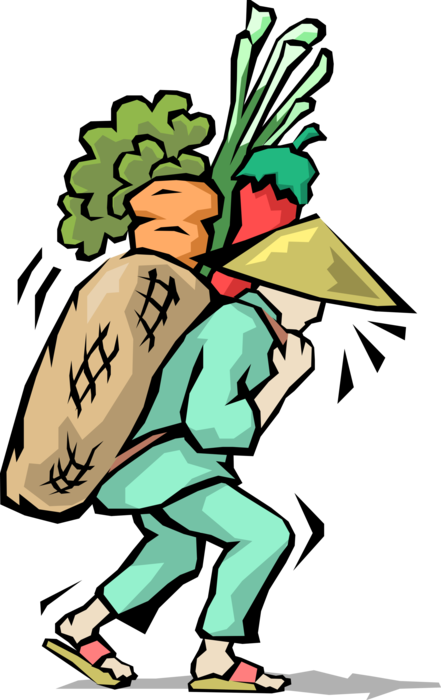 Vector Illustration of Chinese Cuisine Chef Carries Fresh Garden Vegetables to Kitchen