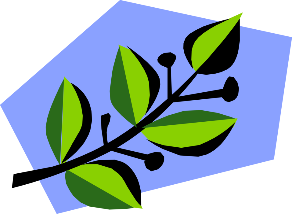 Vector Illustration of Garden Botanical Plant Leaf