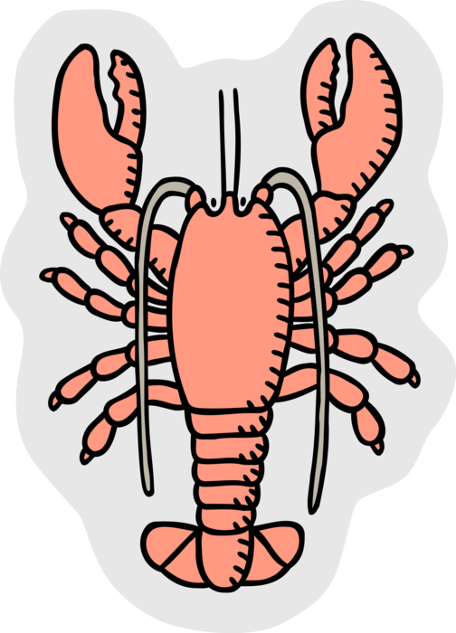 Vector Illustration of Clawed Lobster Shellfish Marine Crustacean Seafood