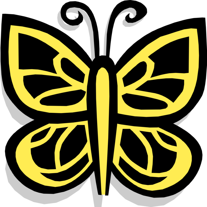 Vector Illustration of Colorful Black and Yellow Butterfly Winged Insect