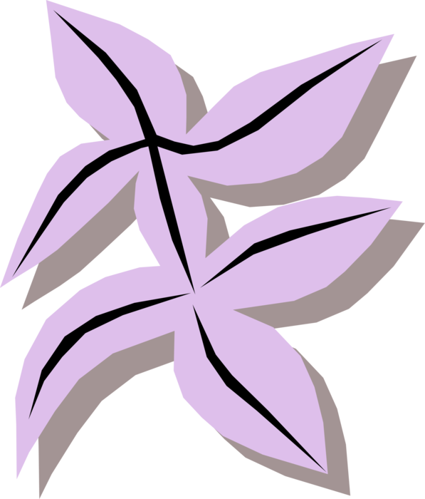 Vector Illustration of Light Purple Leaves