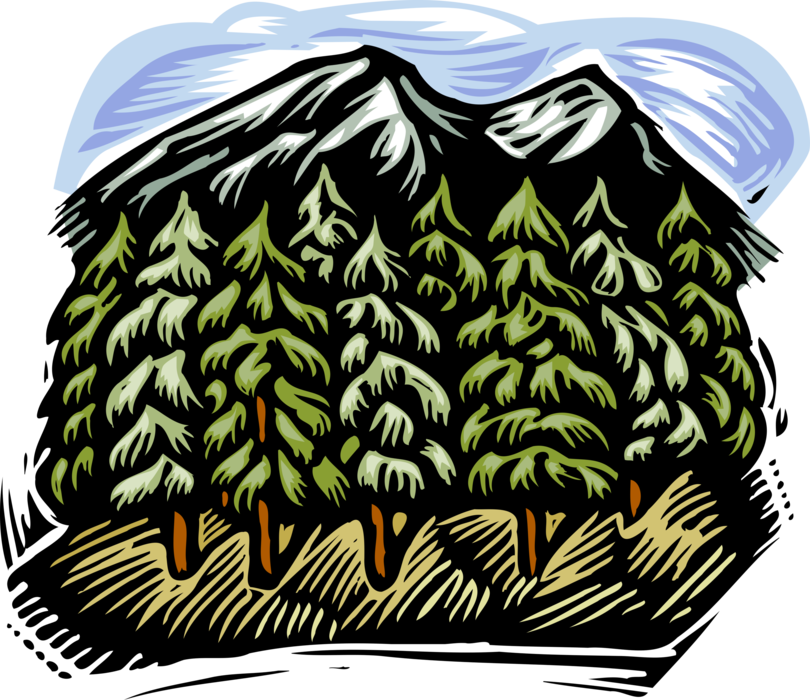 Vector Illustration of Mountains with Coniferous Evergreen Tree Forest