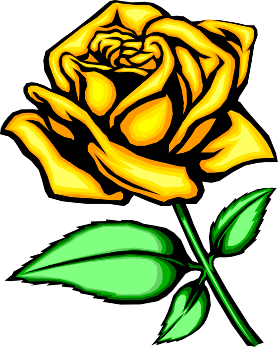 Vector Illustration of Yellow Rose Flower
