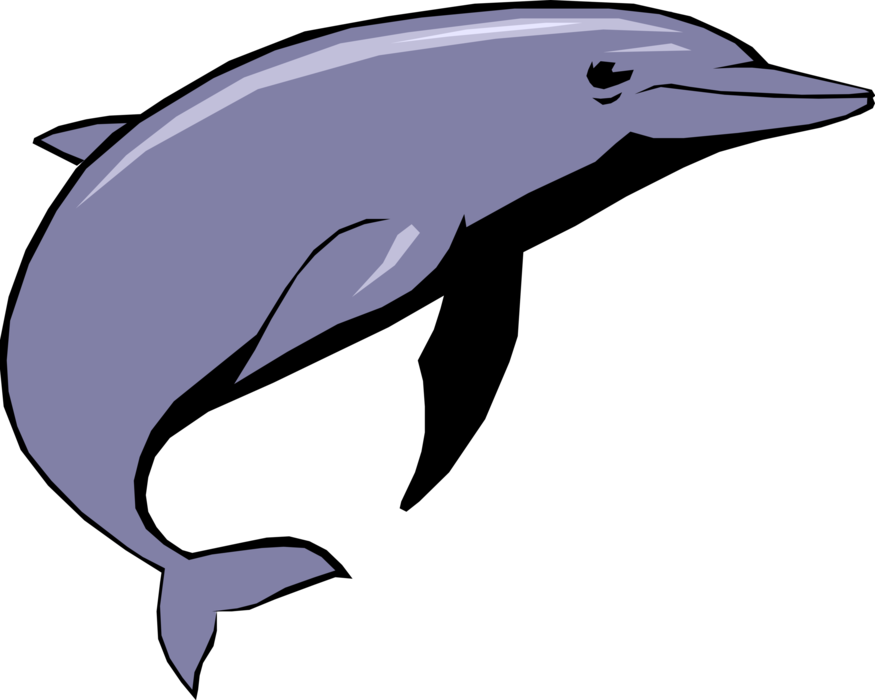 Vector Illustration of Aquatic Marine Mammal Cetacean Dolphin