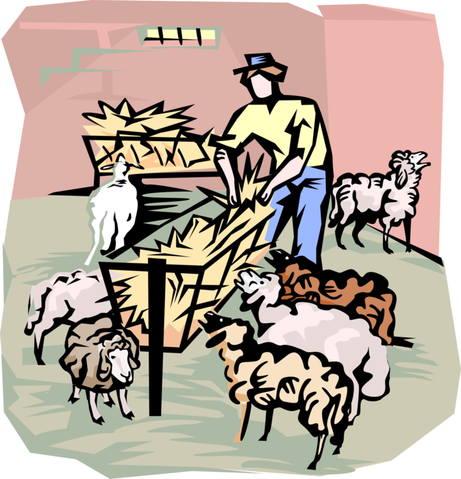 Vector Illustration of Farmer Feeding Sheep in Barn