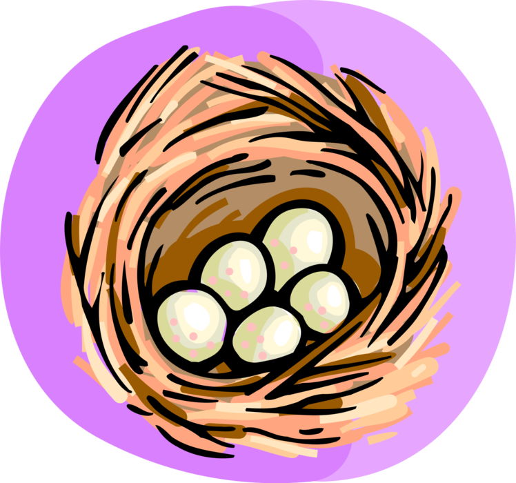 Vector Illustration of Bird's Nest with Eggs