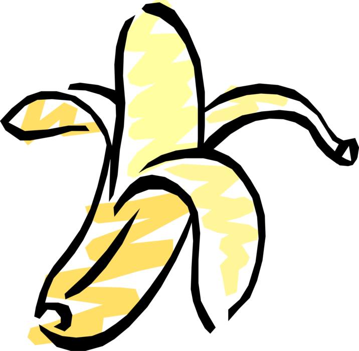 Vector Illustration of Peeled Banana Edible Fruit