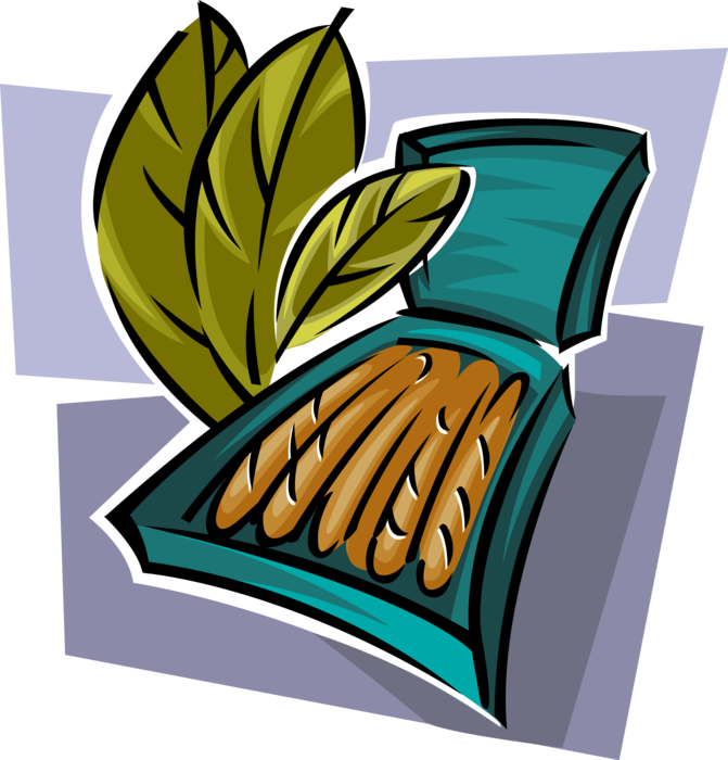 Vector Illustration of Tobacco Smoking Leaves with Cigars in Box