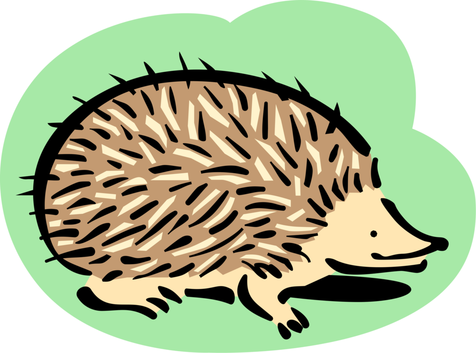 Vector Illustration of Spiny Mammal Hedgehog