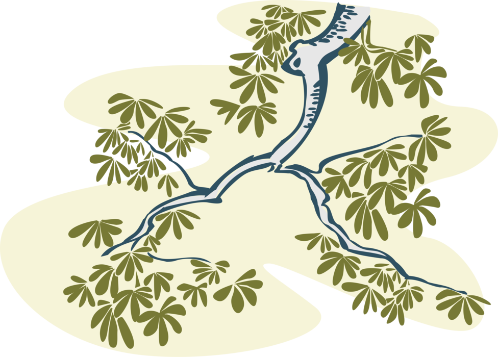 Vector Illustration of Deciduous Tree Branch and Leaves