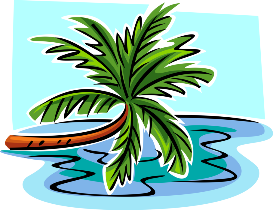 Vector Illustration of Arecaceae Palm Tree Leaning Over Water