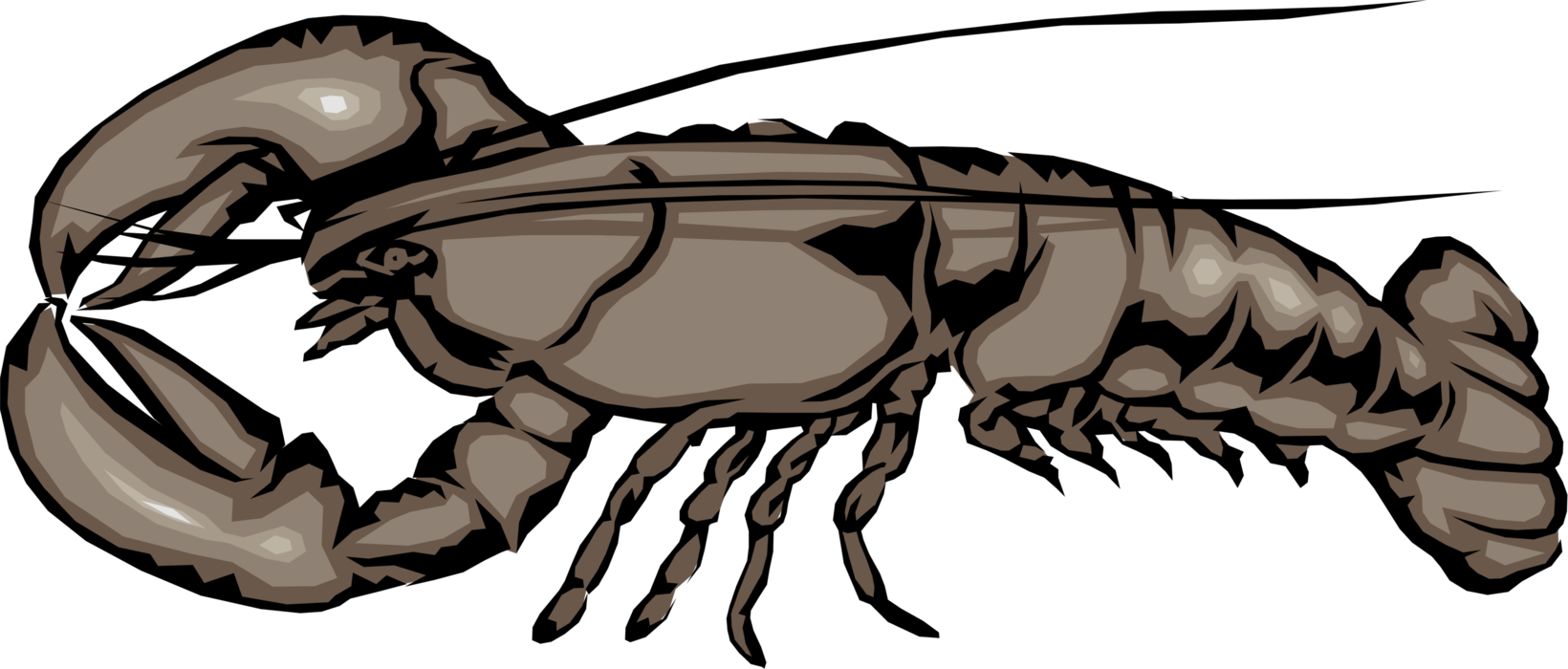 Vector Illustration of Clawed Lobster Shellfish Marine Seafood Crustacean