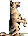 Ny4lbac3p anim0077