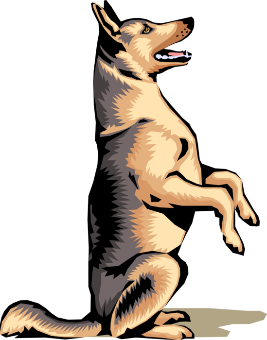 Vector Illustration of German Shepherd Dog Sits and Waits for Command