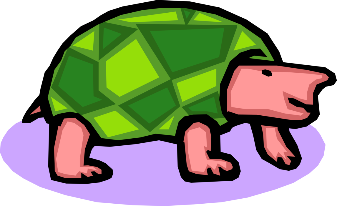 Vector Illustration of Slow-Moving Terrestrial Reptile Tortoise or Green Turtle