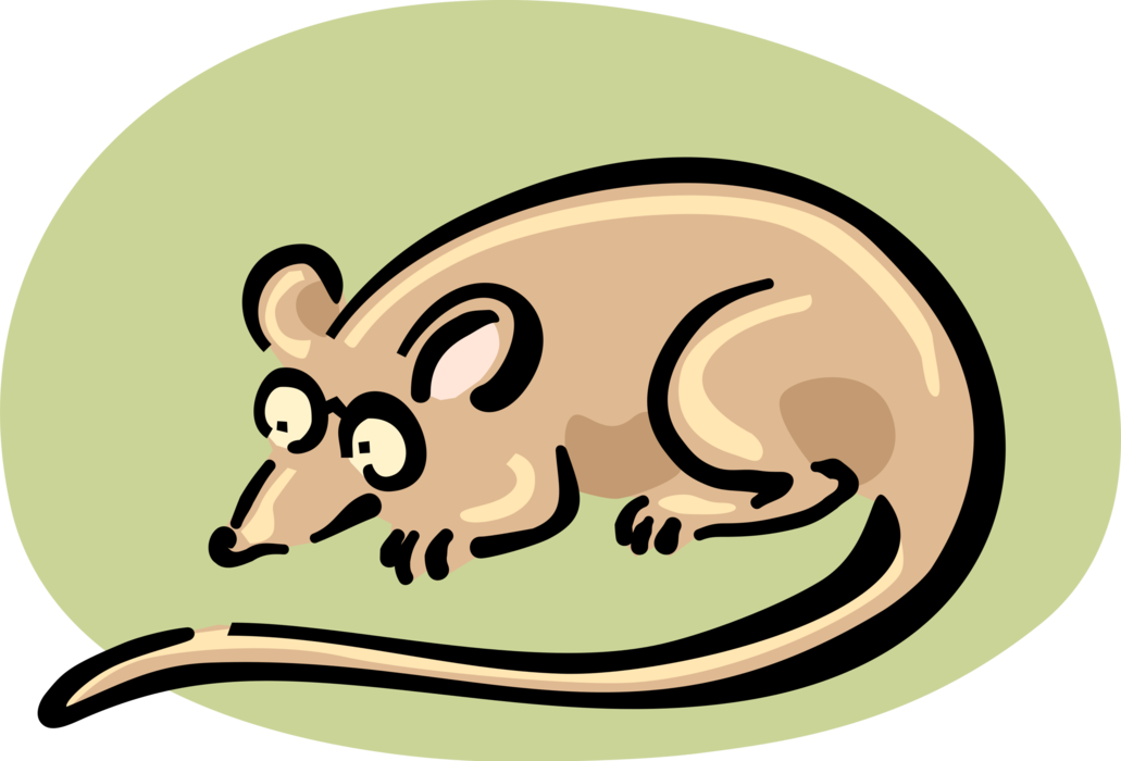Vector Illustration of Rodent Rat with Eyeglasses or Reading Glasses