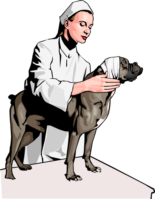 Vector Illustration of Veterinary Physician Bandaging Patient Dog's Head Injury