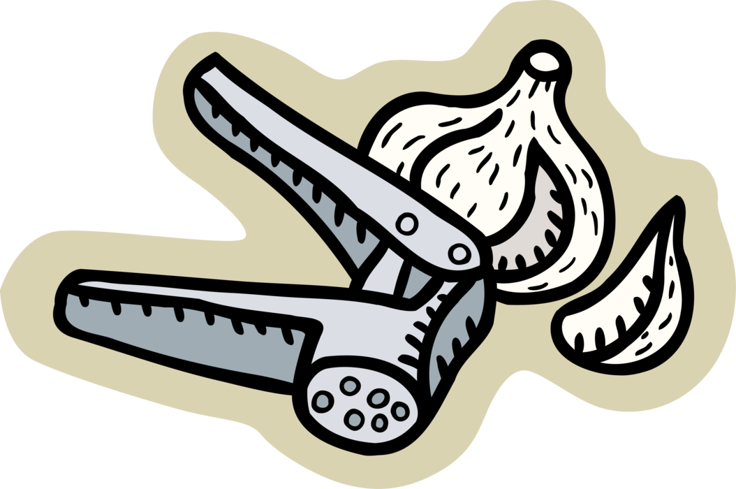 Vector Illustration of Garlic Press Crushes Cloves of Edible Pungent Culinary Bulb Plant