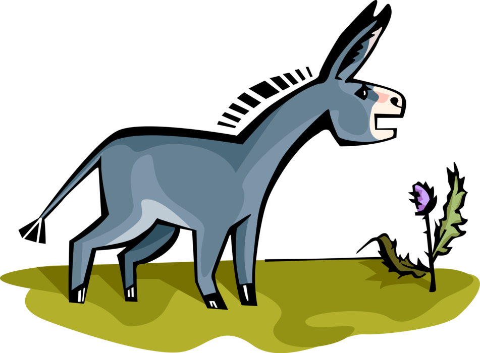 Vector Illustration of Domesticated Donkey or Ass